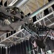 Aún hay chance: Corre a visitar esta expo sobre Dinosaurios Mexicanos en CDMX